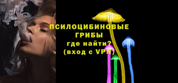 амф Горнозаводск