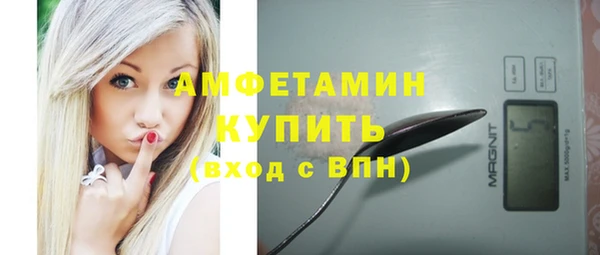 сатива Вязьма