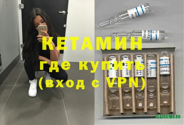 сатива Вязьма